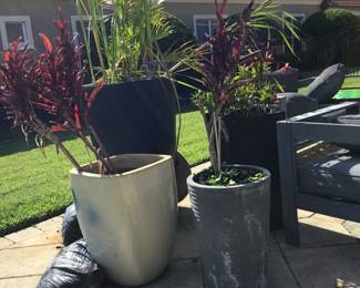 Planters with plants