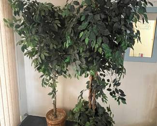 Faux Fica Trees