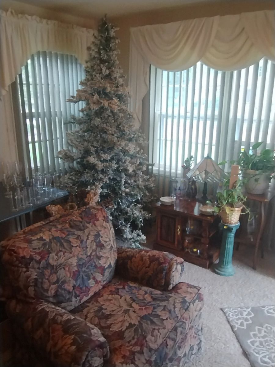 Flocked Christmas tree, among other treasures