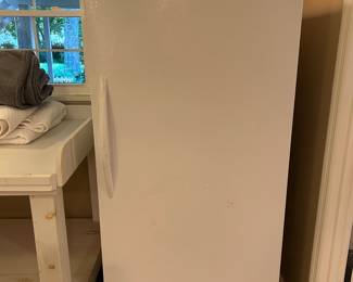 standing freezer