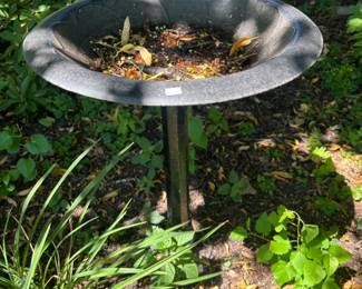 Bird Bath