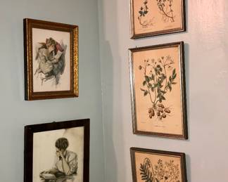 Harrison Fisher & botanical prints