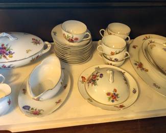 More of Czech Altrohlau china service