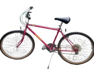 Giant Rincon Bike
