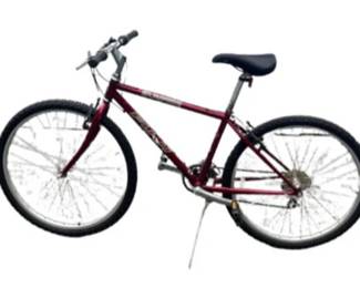Fuji Sunfire -15 Inch Frame