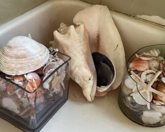 Large Sea Shell and 2 jars of shells