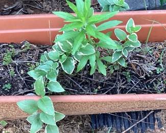 Planter box