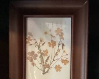 Wall Art Dried Flowers