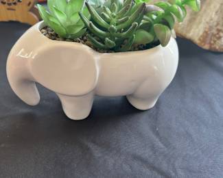 Elephant Bowl w Succulents