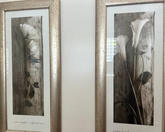 Pair of Black/White Floral Prints