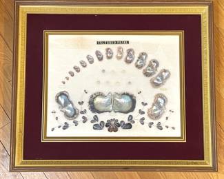 Framed panel of cultured pearls and mother of pearls
