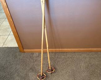 Ski Poles 