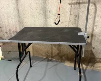 Pet Grooming Table 
