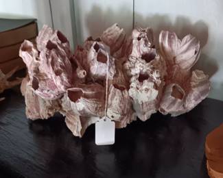 Barnicles