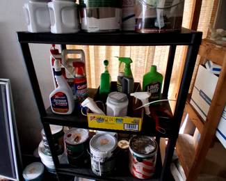 Assorted Chemicals and Paint