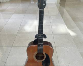 Brazos Acoustic Guitar