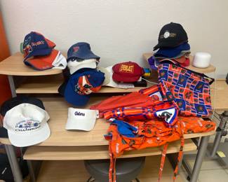 University of Florida UF Gators Hats Ballcaps