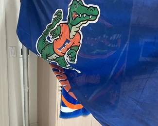 Gator Flag w/Pole