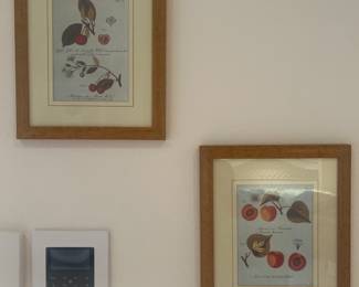 Laura Ashley prints