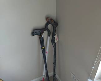 walking sticks, canes