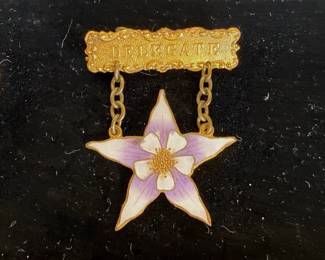 Rare Antique Union Political Delegate