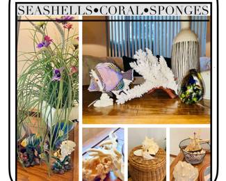 Vintage Seashells Coral Sponges