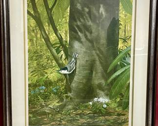 Vintage framed print titled "White-Breasted Nuthatch" by Ray Harm and signed 