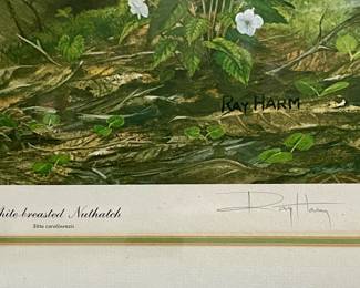 Vintage framed print titled "White-Breasted Nuthatch" by Ray Harm and signed 