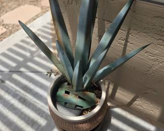 Metal cactus