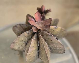 Metal cactus