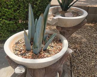 Several half moon planters