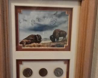Buffalo nickles framed pictures