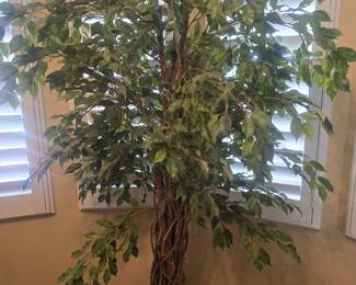 6 ft. tree