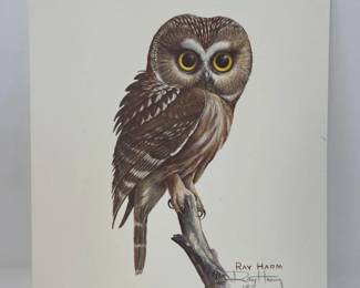 Signed Ray Harm "Saw-whet Owl" Limited Lithograph 8 x 10 ($125)