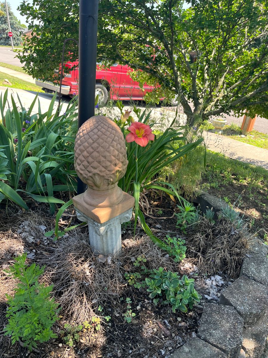 Yard is full of garden decor