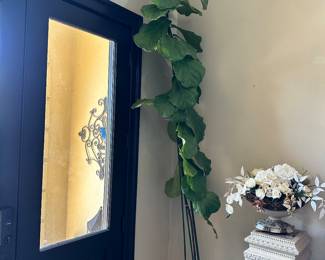 #55 - $300 - Fiddle leaf fig plant 11'