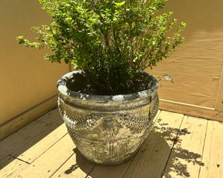 #98 - $80 - Cement Planter lion face 21Dx15H (left)