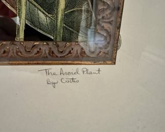 #39 - $180 - Bassett fine art The Aroid plant/The Atmophiles plant set of 2 print by Curtis 25x29