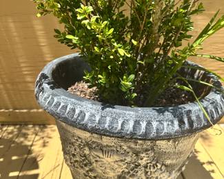 #99 - $80 - Cement face planter 17x19