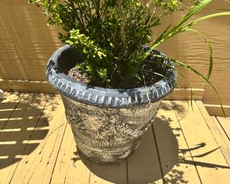 #99 - $80 - Cement face planter 17x19
