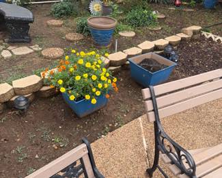 Pots with plants