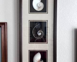 Nautical Seashell Art