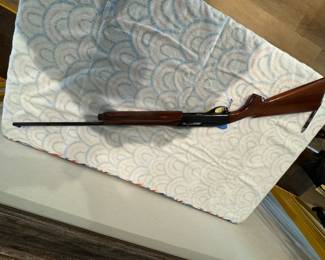 Remington 1100 - 410ga