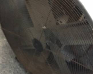 24" shop fan