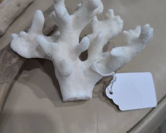 Coral