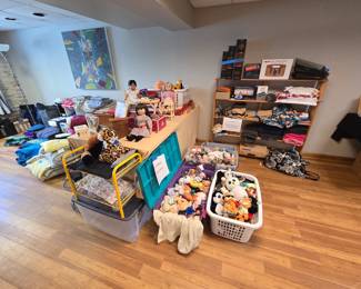 American Girl, Beanie Babies, towels, bedding, bookshelves
