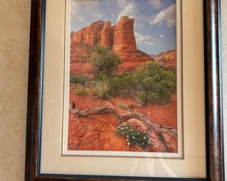National Park Artwork
