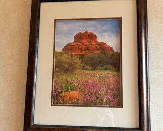 National Park Artwork