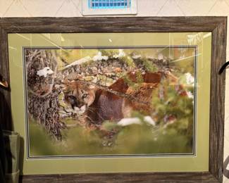 Tiger in the Wild Artwork