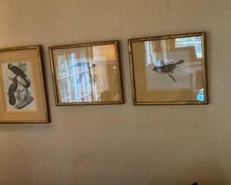 AUDUBON PRINTS